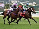 Em final eletrizante, El Zorro supera Fantastic Boy no Clássico Ghadeer (L.)