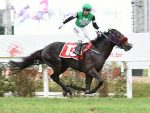 Um Galope Americano no GP Derby Paulista (G1)