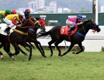 Na boa fase do Haras Nacional, vitória de Knowledge na P.E. João Vieira
