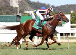 Set Ton confirma evolução com vitória no Clássico Ernani de Freitas (L.)