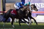 Talismanic prevalece na Breeders’ Cup Turf (gr.I)