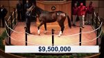 Mercado: milionárias, Songbird, Tepin e Stellar Wind roubam a cena no Kentucky