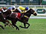 Etrusca derrota as mais velhas no GP Oswaldo Aranha (G2)