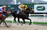 Galeria de Fotos – Confira os vencedores desta TERÇA (05) no JCB