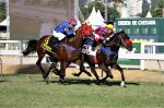 Knowledge confirma boa fase e vence o GP Julio Cápua (G3)
