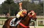 Galeria de fotos – Confira os vencedores de DOMINGO (03) no JCB