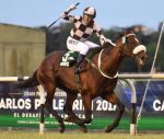 Puerto Escondido vence o GP Carlos Pellegrini. New In Town finaliza em quarto