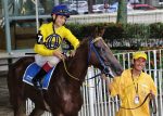 Galeria de fotos – Confira os vencedores de DOMINGO (07) no JCB