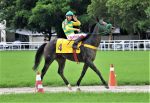 Galeria de fotos – Confira os vencedores desta SEGUNDA (08) no JCB