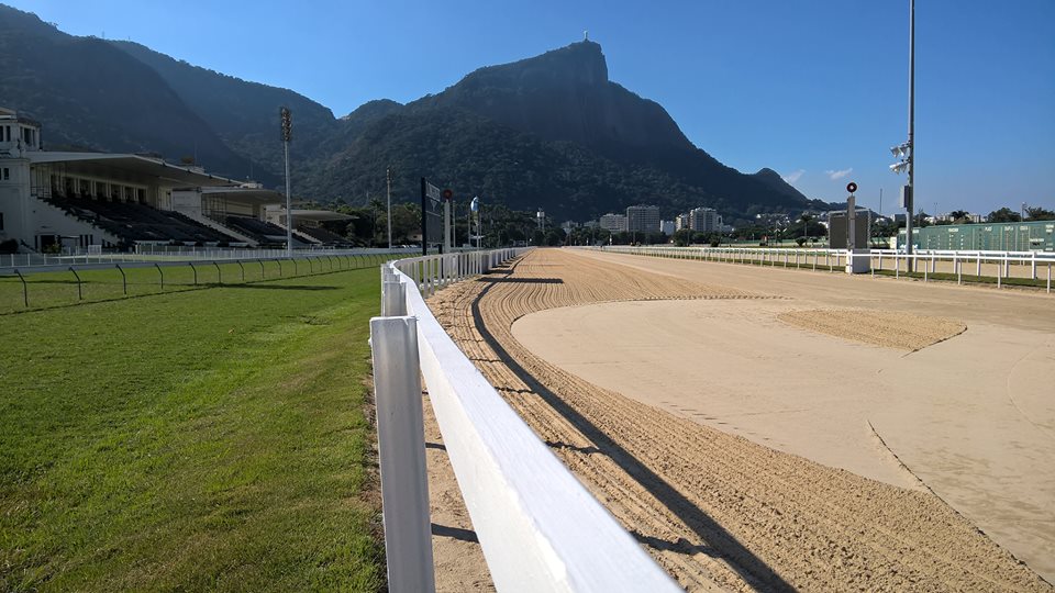 Listed para arenáticos é atração central na Gávea