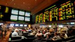 As transmissões das corridas do Jockey Club Brasileiro para os EUA foram um sucesso