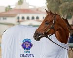 Gun Runner congela os cronômetros em exercício para a Pegasus World Cup