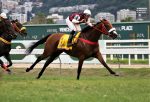 Fanciful atropela forte para levar a 1ª Coroa no GP Henrique Possolo (G1)