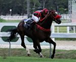 Olympic Hanoi vence a P.E. Falcon Jet e vai forte para o GP Francisco Eduardo de Paula Machado (G1)