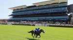 Randwick: Com hipódromo lotado, Winx rouba cena com impressionante vitória em prova treino
