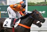 Tinindo, Tallin vence a P.E. Waldmeister