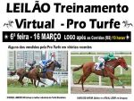 Pro Turfe realiza hoje, 16 de março, Leilão Virtual em Treinamento
