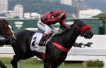 Batismo nobre de Sudara no GP Euvaldo Lodi (G3)