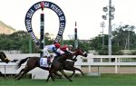 Nice Dream, a força do GP Zélia Gonzaga P. de Castro – Araras Blood & Power (G1)