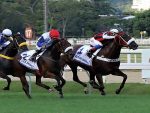 Future Queen supera Sea Dream no GP Zélia Gonzaga Peixoto de Castro (G1)