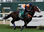 Tinindo, Gargalo’s Hill’s leva a melhor no GP José Paulino Nogueira (G3)