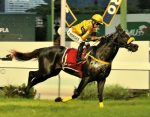 Aos 7 anos, Jaspion Silent esbanja categoria no GP Escorial (G3)