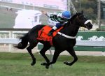 Um show do invicto Black Cello no GP Conde Herzberg (G2)
