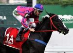Em franca evolução, Essential Lord domina o GP Hipódromo da Gávea (G3)