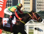 Euquemando no GP São Paulo – Black Opal (G1)