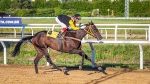RS: Best Dubai dá show no Diana. Olé Gremista e Gulf Watch vencem na tríplice coroa juvenil
