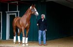 Justify defende amplo favoritismo no Preakaness Stakes (G1)