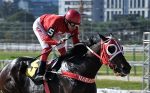 Slam Of Cat estreia com vitória no GP Antenor de Lara Campos (GII)