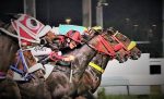 Galeria de Fotos – Confira os vencedores deste DOMINGO (06) no JCB