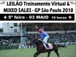 Nesta quinta-feira o Leilão Treinamento, Virtual e Mixed Sales da Pro Turfe