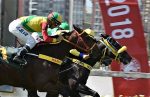 Invicto, Bobby Secret abre o Festival do GP São Paulo 2018 com vitória na P.E. Nageur