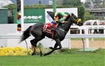 Bay Ovar reassume a liderança entre as potrancas no GP Francisco Villela de Paula Machado (G2)