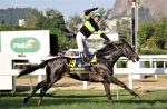 De perdedor a líder da Geração, Inforcer vence o GP Jockey Club Brasileiro