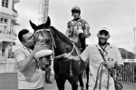 Galeria de Fotos – Confira os vencedores deste SÁBADO (16) no JCB