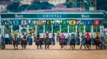 Cristal: Programa com retrospecto SEXTA (22)