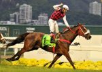 Fanciful esbanja categoria para vencer o GP Roberto e Nelson Grimaldi Seabra (G1)