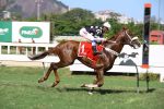 Liderança da Geração 2015 em jogo no GP Jockey Club Brasileiro