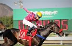 Knowledge resiste a Tiepollo na milha do GP Presidente Vargas (G3)