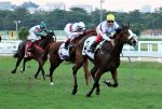 Ordinary Love e Nemvemquenãotem, dobradinha do Doce Vale no GP Onze de Julho (G2)