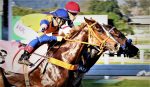 Galeria de Fotos – Confira os vencedores deste DOMINGO (15) no JCB