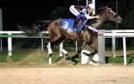 Pedigree da semana: FERA VELOZ
