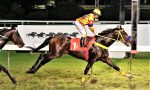 Galeria de Fotos – Confira os vencedores deste DOMINGO (29) no JCB