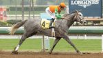 Criação: ganhadoras de G1, Unique Bella e Unbridled Mo têm campanhas encerradas