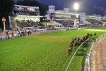 Três Listeds e mais sete provas na abertura do Festival do GP Brasil 2019