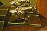 Troféu Mossoró consagra Quarteto de Cordas como o animal do ano