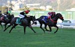 Rumo ao Criterium, Olympic Impact conquista o GP Sandpit (G3)
